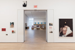 Installation photo, 16 of 98