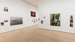 Installation photo, 18 of 98