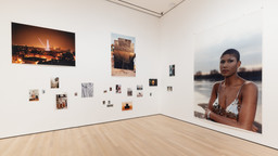 Installation photo, 19 of 98