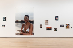 Installation photo, 20 of 98