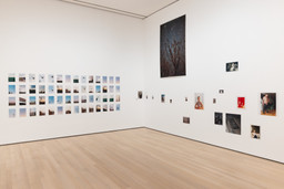 Installation photo, 22 of 98