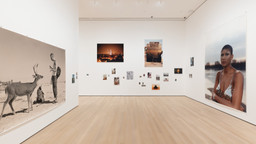 Installation photo, 24 of 98