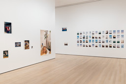 Installation photo, 25 of 98
