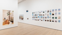 Installation photo, 26 of 98