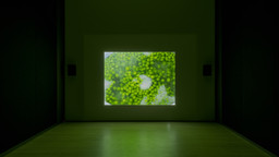 Installation photo, 29 of 98