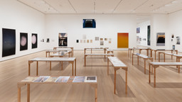 Installation photo, 47 of 98