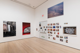 Installation photo, 60 of 98