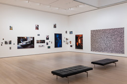 Installation photo, 63 of 98