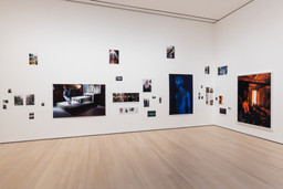 Installation photo, 65 of 98