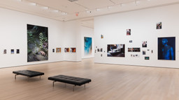 Installation photo, 67 of 98