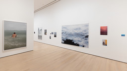 Installation photo, 68 of 98