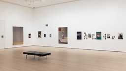 Installation photo, 80 of 98