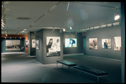 Installation photo, 15 of 20