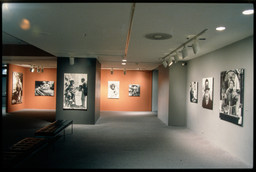 Installation photo, 16 of 20