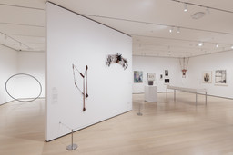 Installation photo, 11 of 48