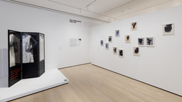 Installation photo, 40 of 48