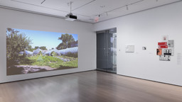 Installation photo, 44 of 48