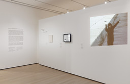 Installation photo, 8 of 48