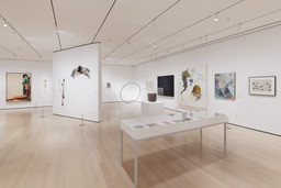 Installation photo, 17 of 48