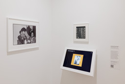 Installation photo, 19 of 48