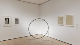 Installation photo, 20 of 48