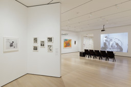 Installation photo, 21 of 48