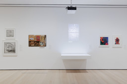 Installation photo, 37 of 48