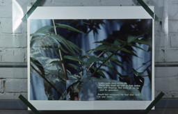 Installation photo, 6 of 11