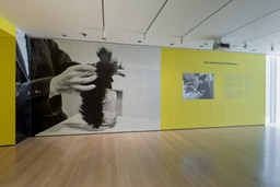 Installation photo, 4 of 117