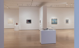 Installation photo, 110 of 117