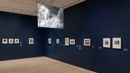 Installation photo, 5 of 16