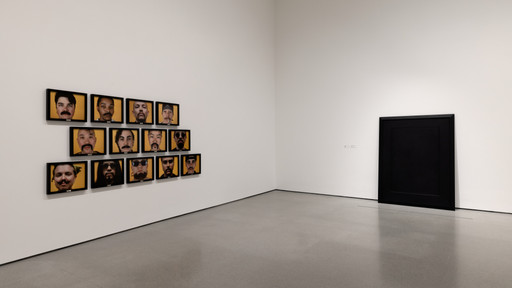 Iran Do Espirito Santo　イラン・ド・エスピリト・サント Iran do Espirito Santo. Deposition I. 2008 | MoMA