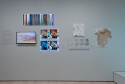 Installation photo, 9 of 90