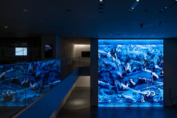 Installation photo, 12 of 19