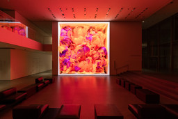 Installation photo, 13 of 19
