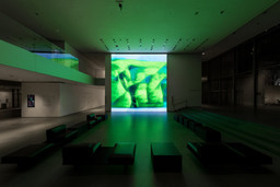 Installation photo, 6 of 19