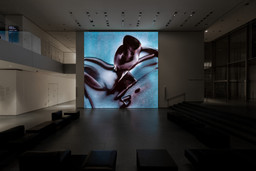 Installation photo, 9 of 19