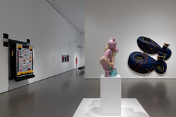 Installation photo, 14 of 17