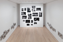 Installation photo, 3 of 19