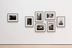 Installation photo, 16 of 19