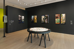 Installation photo, 10 of 33