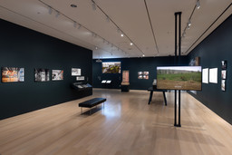 Installation photo, 29 of 33