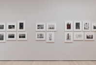 402: Fields and Figures. Ongoing. 16 other works identified