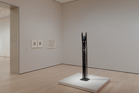 402: Fields and Figures. Ongoing. 3 other works identified