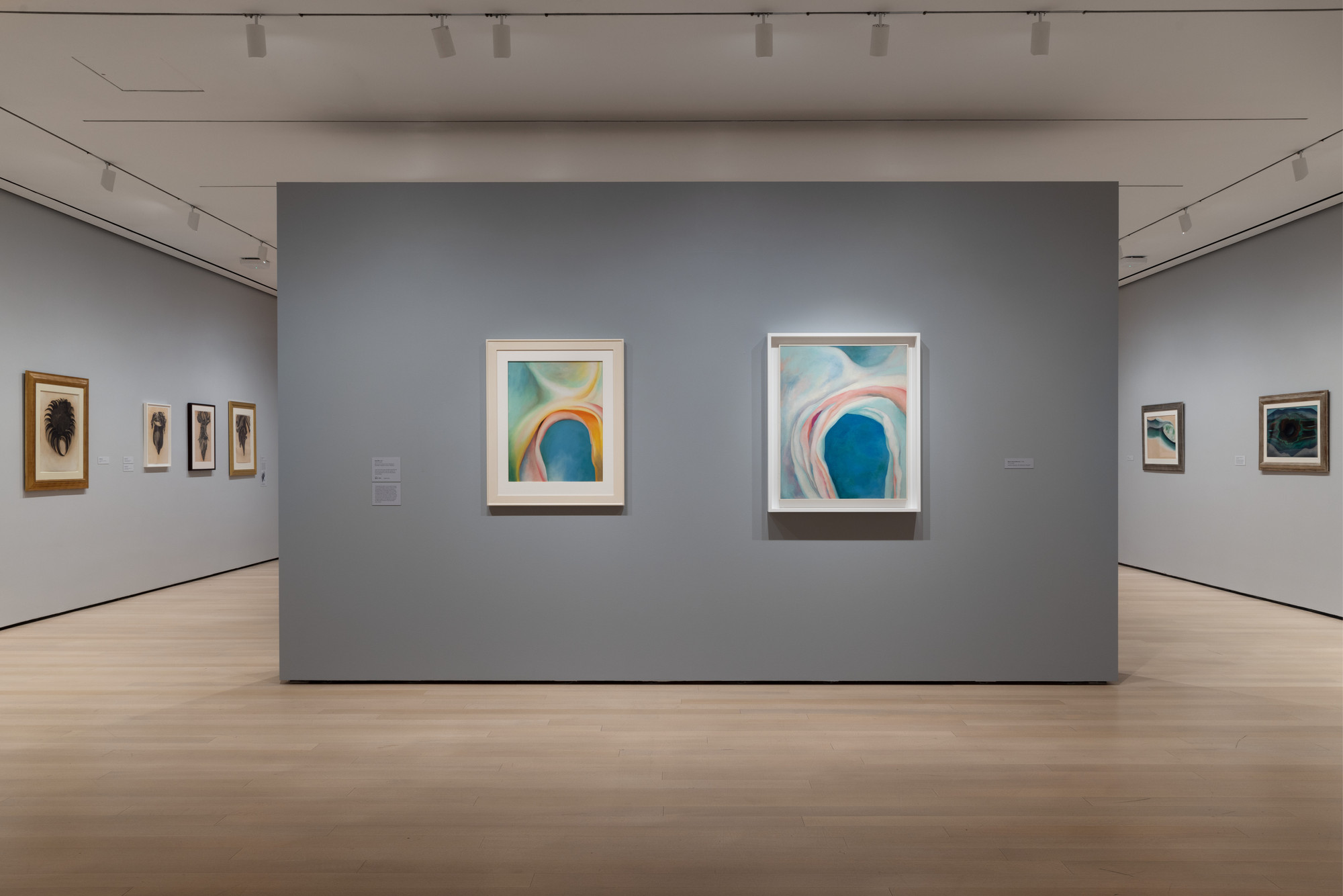 Installation view of the exhibition O’Keeffe To See Takes