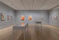 Georgia O’Keeffe: To See Takes Time. Through Aug 12.