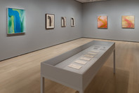 Georgia O’Keeffe: To See Takes Time. Through Aug 12.