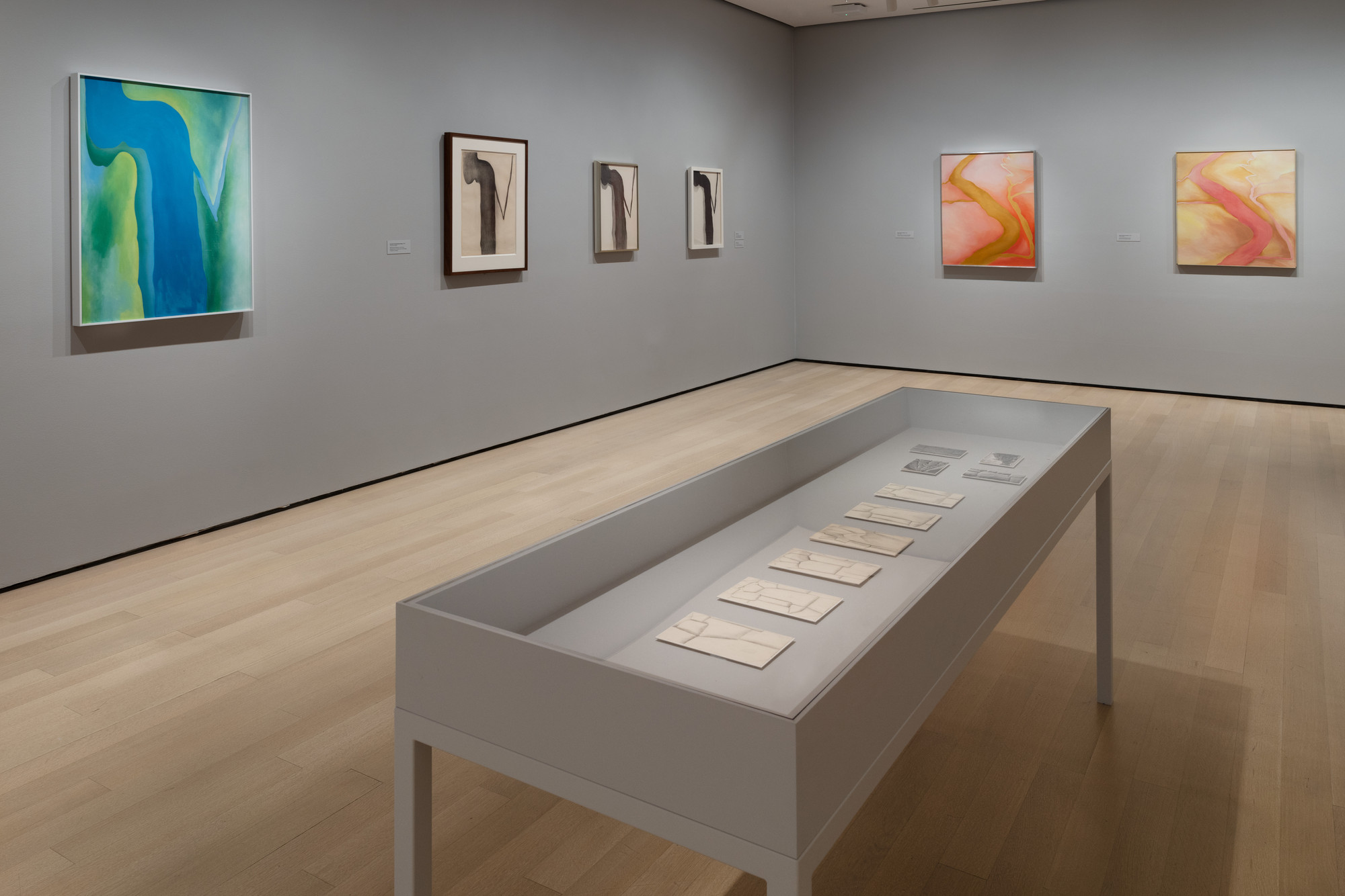洋書 Georgia O'Keeffe TO SEE TAKES TIME Georgia O'Keeffe: To See Takes Time - Hardcover – MoMA