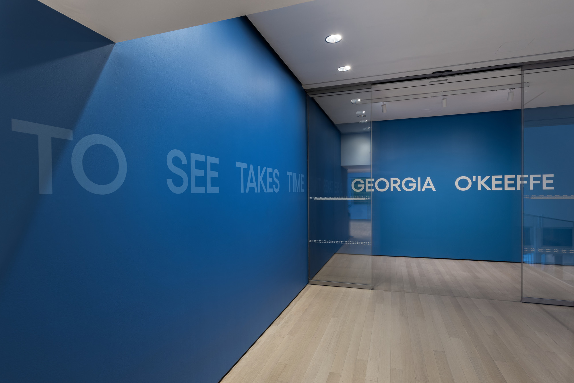Installation view of the exhibition O’Keeffe To See Takes