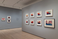 Georgia O’Keeffe: To See Takes Time. Through Aug 12.